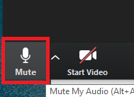no mute button on zoom webinar