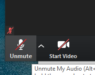 no mute button on zoom webinar